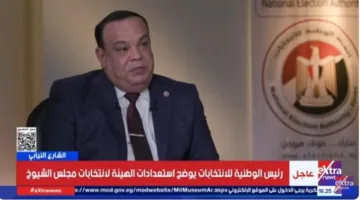 الهيئة الوطنية للانتخابات: نستعد لانتخابات مجلس الشيوخ 2025