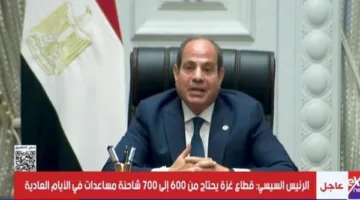 القبائل العربية: تصريحات الرئيس السيسي تعكس التزام مصر التاريخي بدعم فلسطين.