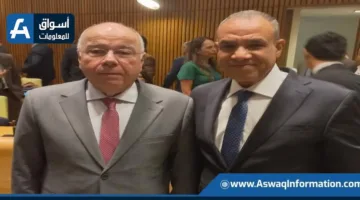 وزير خارجية مصر ونظيره البرازيلي يهدفان إلى تعزيز التعاون في شتى المجالات.