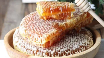 عسل الباحة: تقاليد غذائية وميزات اقتصادية وسياحية لـ 15 نوعًا