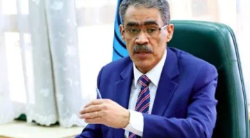 ضياء رشوان: الأصوات المنتقدة لمصر لا تسعى للبحث عن الحقيقة بل للتحريض.
