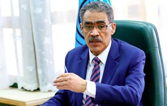 ضياء رشوان: الأصوات المنتقدة لمصر لا تسعى للبحث عن الحقيقة بل للتحريض.