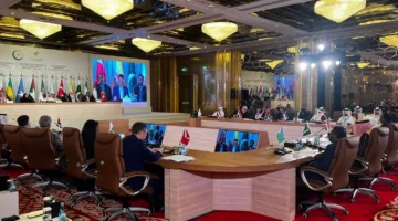 مصر تشارك في اجتماع فريق العمل الخاص بمنظمة التعاون الإسلامي حول الصومال