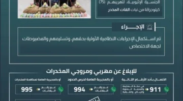 الإطاحة بخمسة مهربين في عسير بعد ضبطهم بحوزتهم 75 كيلوغرامًا من القات المخدر