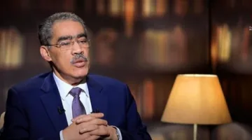 ضياء رشوان: احتجاجات 20 أكتوبر تعكس تاريخ كفاح مصر