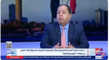 محيط يشرح الفروق بين صندوق النقد والبنك الدولي للنقد.