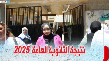 نتائج الثانوية العامة 2025 برقم الجلوس.. رابط مباشر من وزارة التربية والتعليم