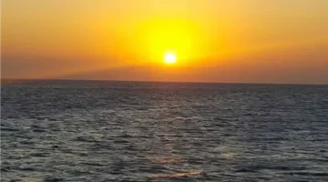مواعيد الشروق وعبادات الصلاة ليوم الثلاثاء 29 يوليو 2025