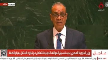وزير الخارجية يدعو المجتمع الدولي لأداء دوره في إعادة إعمار غزة (فيديو)