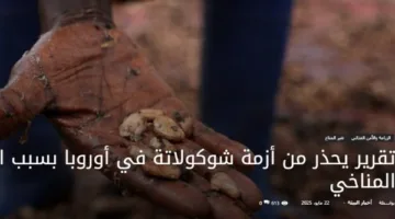 تقرير ينذر بأزمة في إنتاج الشوكولاتة في أوروبا نتيجة التغيرات المناخية