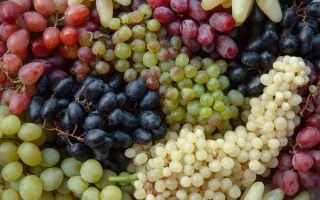 العنب: ثمرة مذهلة تعزز المناعة وتساعد في مكافحة الأمراض