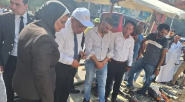 مصدر يحدد تاريخ استئناف الكهرباء واستقرارها في الجيزة