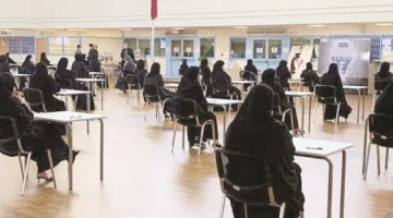 4 أغسطس: آخر موعد للتسجيل في برنامج اللغة الإنجليزية بكلية المجتمع