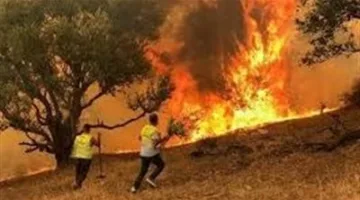 احمِ نفسك ومحيطك من حرائق الصيف: لا تدع الأمر للصدفة