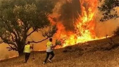 احمِ نفسك ومحيطك من حرائق الصيف: لا تدع الأمر للصدفة احمِ نفسك ومحيطك من حرائق الصيف: لا تدع الأمر للصدفة
