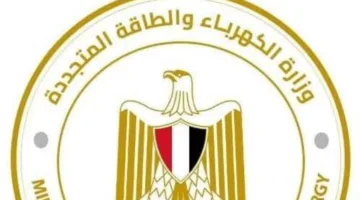 تجديد إمدادات الكهرباء في جزيرة الدهب بعد عطل غير متوقع.. والطاقة تؤكد حماية المرافق الأساسية.