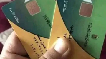قم بتسجيل تاريخ ميلاد طفلك وانتظر الرد: طريقة إضافة الأطفال حديثي الولادة إلى البطاقة التموينية | الآن