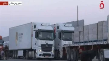 بدء وصول شاحنات الإغاثة الإنسانية من مصر إلى قطاع غزة