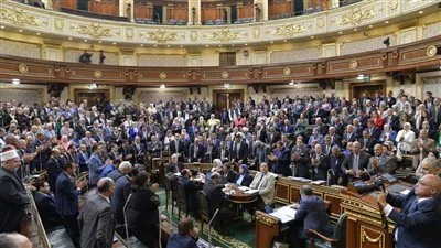 نواب: مصر تخوض صراعاً حقيقياً من أجل فلسطين رغم محاولات التشويه.