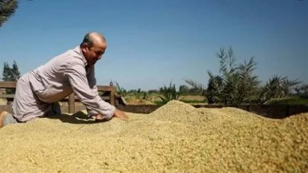 أسعار الأرز البني والأرز الأبيض في مصر بتاريخ الثلاثاء 29 يوليو 2025 أسعار الأرز البني والأرز الأبيض في مصر بتاريخ الثلاثاء 29 يوليو 2025
