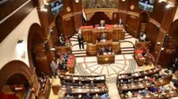 برلماني: كلمة الرئيس تعتبر وثيقة وطنية تثبت أن مصر تمسك بحقوق الفلسطينيين دون تنازلات.