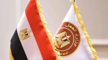 فرص عمل للمصريين في الإمارات: رواتب تصل إلى 12 ألف درهم و103 وظيفة متاحة للتقديم