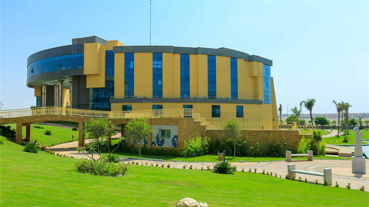<strong>الجامعة الصينية في مصر</strong>