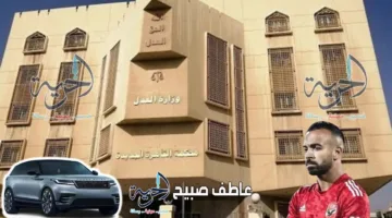 غدًا جلسة استئناف لرجل أعمال محكوم عليه بالسجن 3 سنوات بتهمة الاحتيال على مجدي أفشة بمبلغ 13 مليون جنيه.