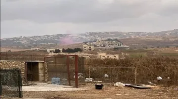 جنوبًا: أصوات انفجارات ودخان… وسببها “نوع الجنين”!