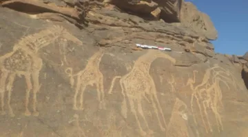 اكتشاف موقع في ليبيا يضم نقوشًا صخرية تعود إلى 10 آلاف سنة مضت