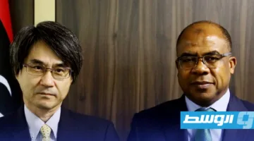 عبدالصادق: ليبيا تهتم بتجربة اليابان في قطاع الطاقة المتجددة