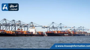 ميناء دمياط يستقبل 64 ألف طن من السكر الخام بمعدل تفريغ يومي قياسي