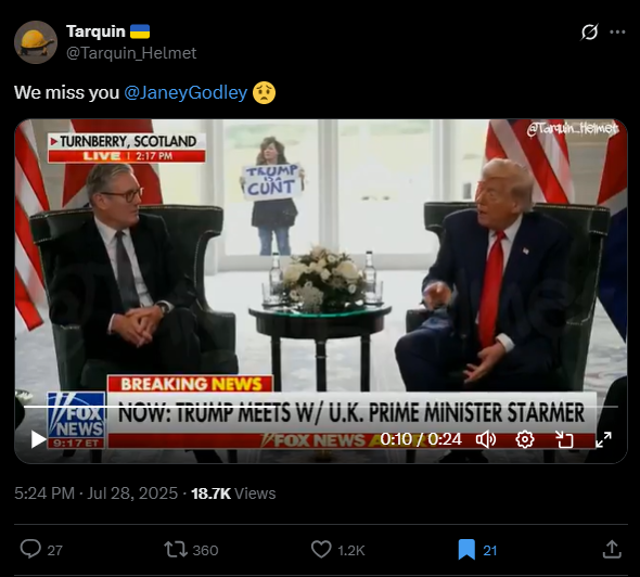لقطة من الفيديو المنشور في حساب @Tarquin_Helmet في اكس، في 28 تموز 2025