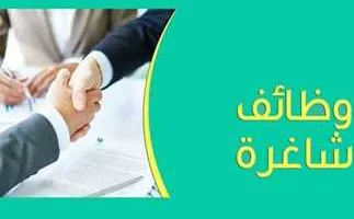 وظائف شاغرة في مديرية التربية والتعليم بالقاهرة.. اكتشف الإجراءات اللازمة