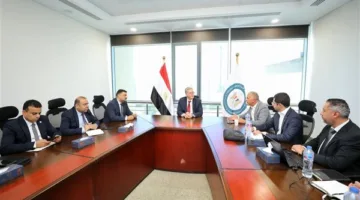 وزير البترول يناقش آخر تطورات مشروع مجمع الصناعات الفوسفاتية في العين السخنة مع شركة السويدي إليكتريك