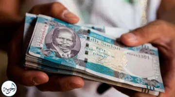 سعر الدولار مقابل الجنيه السوداني اليوم 31 يوليو 2025.. تدهور غير عادي في السوق السوداء