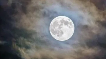 19 حدث فلكي يزين سماء يوليو.. من أبرزها قمر الغزال وشهب دلتا الدلويات