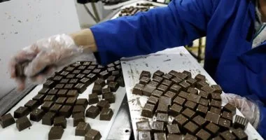 مصادرة 11 ألف قطعة شوكولاتة منتهية الصلاحية في الغربية مصادرة 11 ألف قطعة شوكولاتة منتهية الصلاحية في الغربية