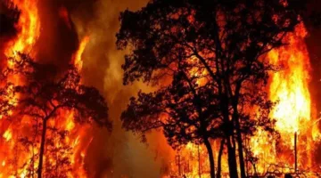 حريق ي ravage نزلًا عتيقًا في متنزه جراند كانيون بولاية أريزونا جنوب غرب الولايات المتحدة الأميركية