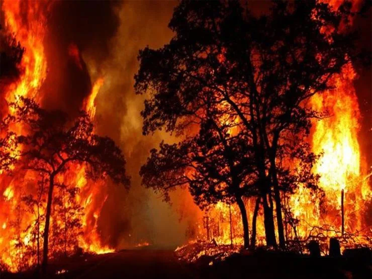حريق ي ravage نزلًا عتيقًا في متنزه جراند كانيون بولاية أريزونا جنوب غرب الولايات المتحدة الأميركية حريق ي ravage نزلًا عتيقًا في متنزه جراند كانيون بولاية أريزونا جنوب غرب الولايات المتحدة الأميركية