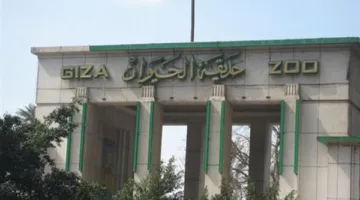 مدير رابطة حدائق الحيوان الأفريقية: تطوير حديقة حيوان الجيزة يتم وفق رؤية استراتيجية للمستقبل