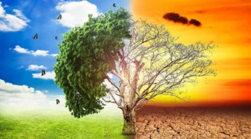 “فهيم”: الزراعة تواجه “تغيرات مناخية هادئة” تهدد المحاصيل وتستدعي إعادة رسم خريطة الزراعة.