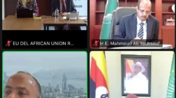 مصر تؤكد تأييدها لاستقرار الصومال خلال مشاركتها في الاجتماع الوزاري الافتراضي لمجلس السلم والأمن للاتحاد الإفريقي.