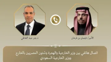 وزيرا خارجية مصر والسعودية يناقشان التعاون في القضايا الإقليمية والدولية