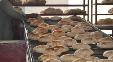 قسم المخابز: احتمال توقف الشبكة وخطط بديلة لتوزيع الخبز