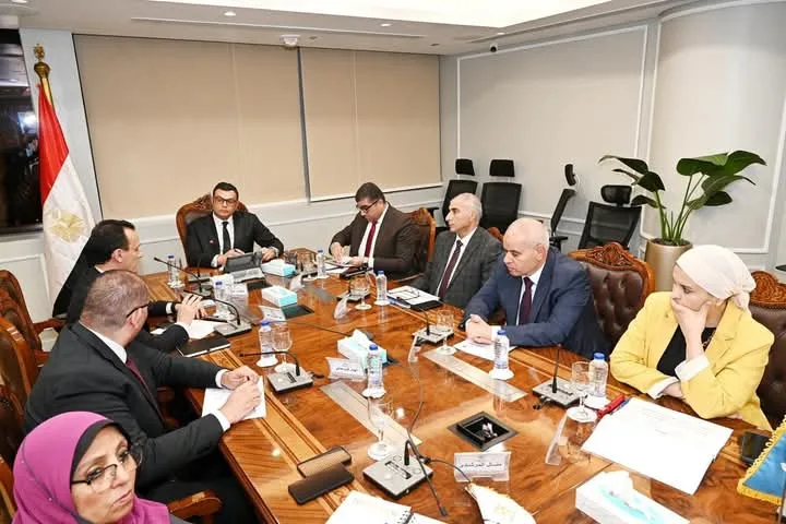 “الشربيني” يرصد تطورات مبادرتي “بيتك في مصر” و”بيت الوطن” للمصريين المغتربين