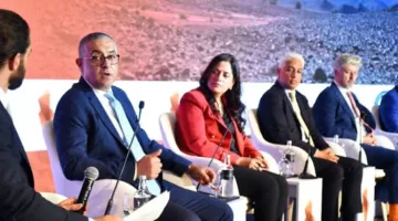 الهيئة العامة للاستثمار: نهدف إلى تحقيق أقصى استفادة من الموارد المعدنية في مصر