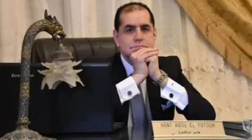 “أبو الفتوح”: توقعات جولدمان ساكس “طموحة” ولا يمكن استقرار الجنيه دون تدفقات حقيقية واستقرار اقتصادي