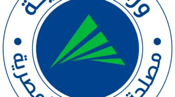 “الضرائب”: 12 أغسطس هو الموعد النهائي للاستفادة من المجموعة الأولى من التسهيلات الضريبية