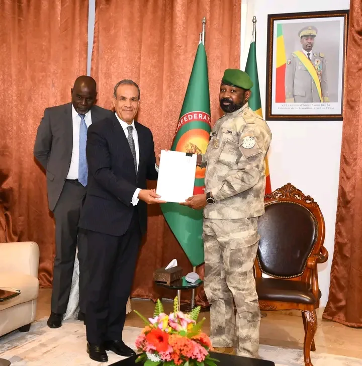 وزير الخارجية والهجرة يسلم رئيس مالي رسالة من الرئيس السيسي ويستعرض سبل تعزيز التعاون بين الدولتين وزير الخارجية والهجرة يسلم رئيس مالي رسالة من الرئيس السيسي ويستعرض سبل تعزيز التعاون بين الدولتين